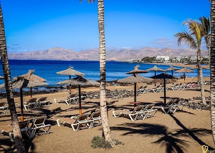 House Of Palm 公寓 卡门港